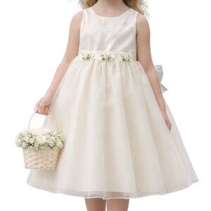 Bonnie Jean Ivory Dress 5 Organza Shimmer Party Wedding Flower Girl Communion